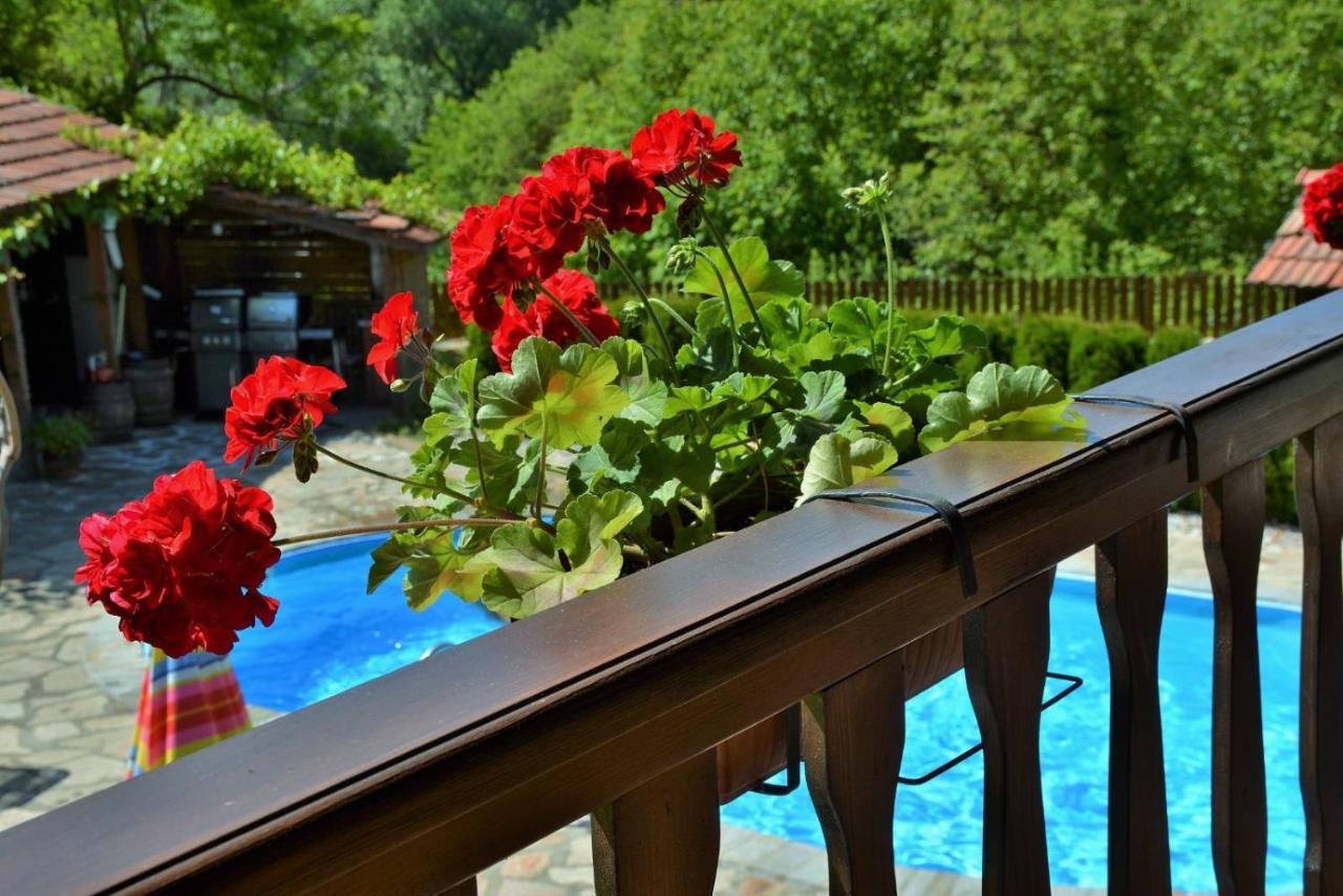 Къща Край Реката/ House By The River Vetrintsi Extérieur photo